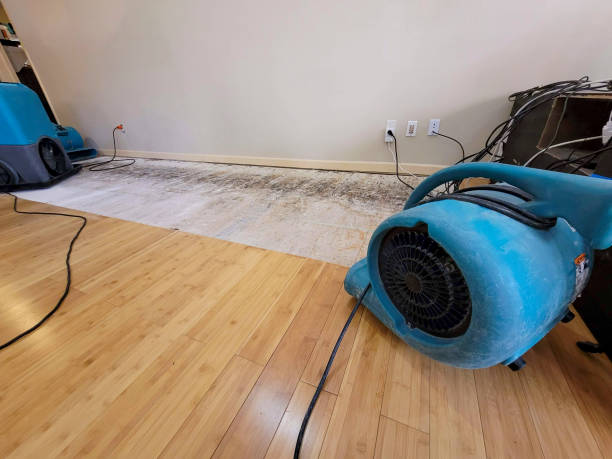 Professional Water Damage Repair technician working in Avon Lake, OH